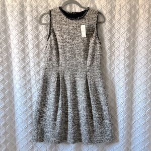 LOFT Tweed Dress